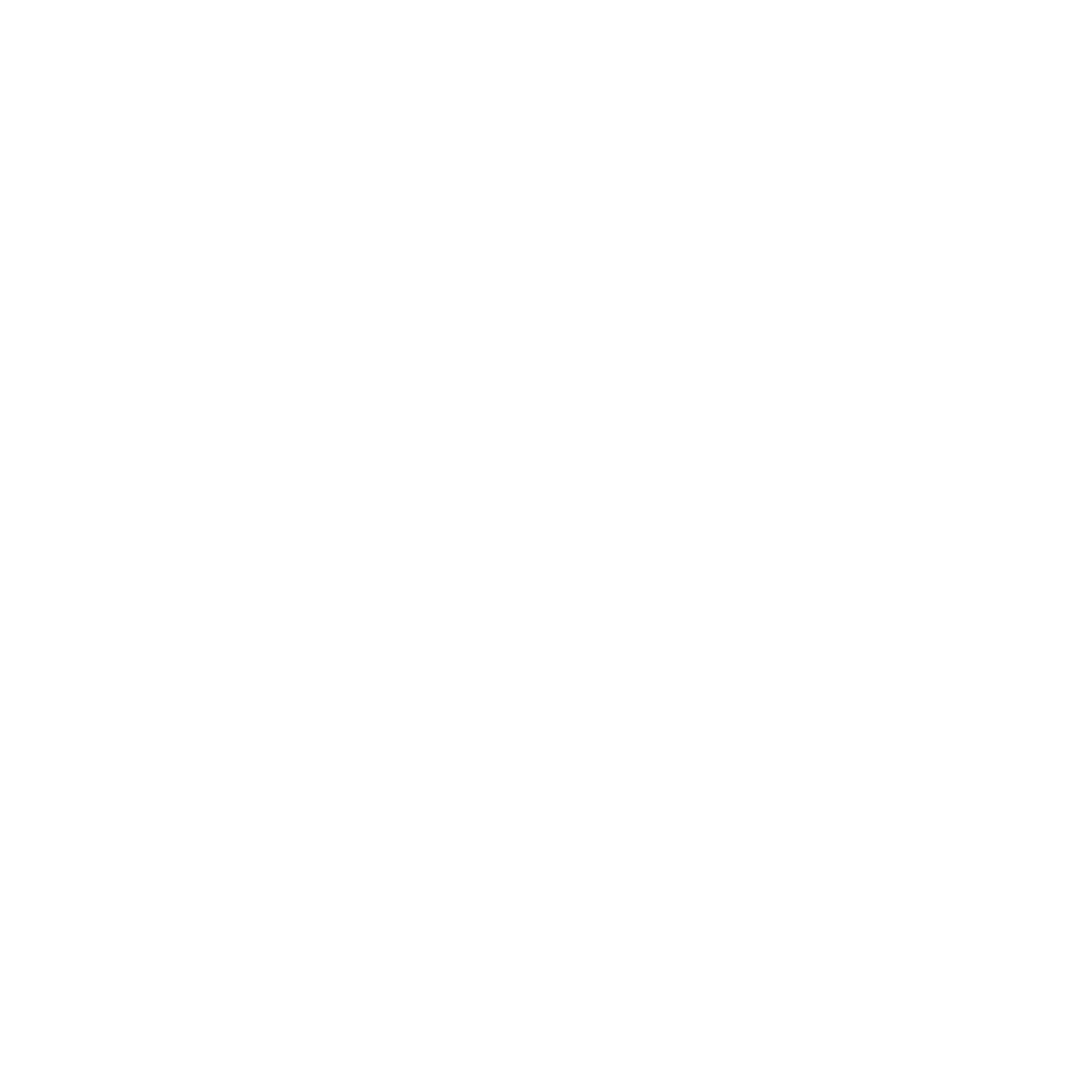 Twin Minds Projects